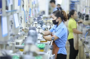 dich vu cung ung lao dong pho thong 3