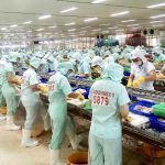 lam sao de tim viec lao dong pho thong 1