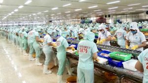 lam sao de tim viec lao dong pho thong 1